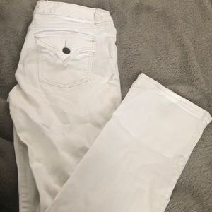 GAP curvy straight jeans